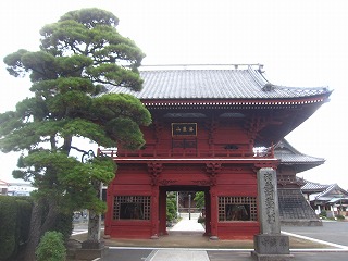 徳願寺の山門