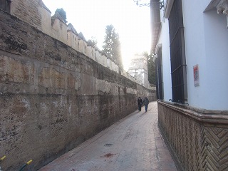 アルカサルの外壁