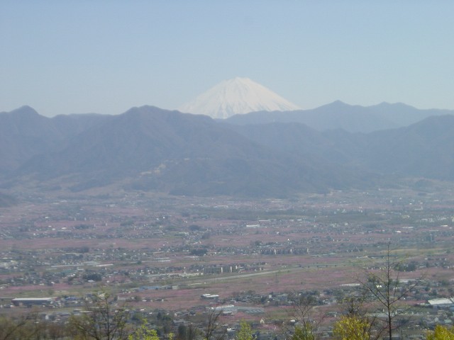 桃色に染まる甲府盆地、そして富士山
