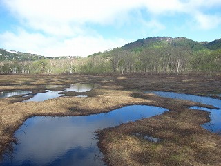 池塘と湿原