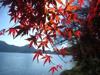 榛名湖畔の紅葉