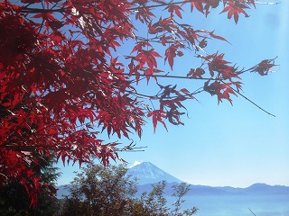 富士山を眺望