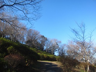 吾妻山公園