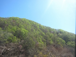 北海道道南・新緑の山並み