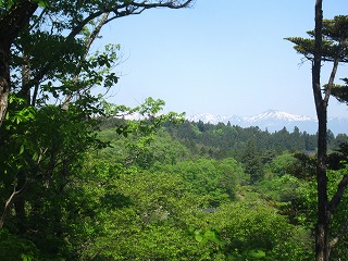 金鶏山山頂