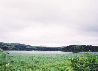 礼文島・久種湖