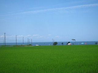水田と日本海