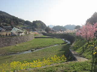 本郷川の風景