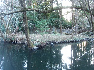 逆木の池