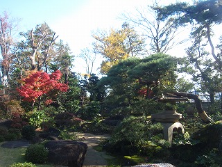 野田市市民会館の庭園風景