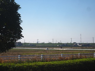江戸川沿いの田園風景