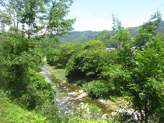 槻川の風景
