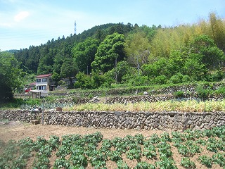 東秩父村の集落風景