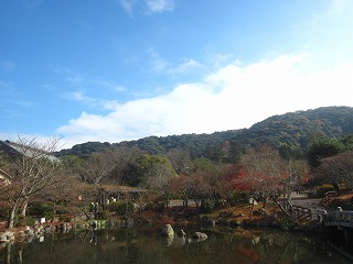 円山公園と東山の山並み