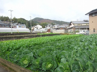 西賀茂の住宅地景観