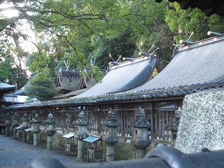 闘鶏神社の社殿