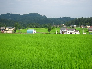 田麦山集落の景観