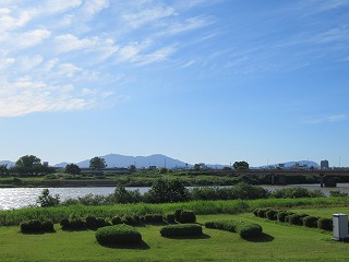 信濃川と弥彦山