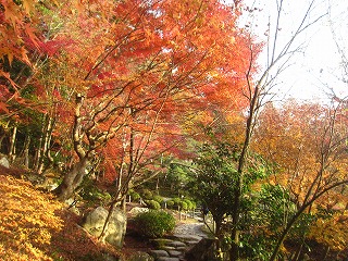 百済寺・本坊庭園の紅葉