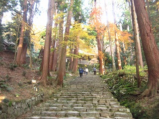 百済寺の参道