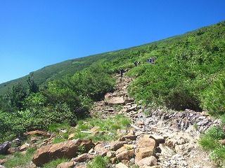 登山道