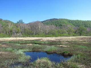 湿原と池塘