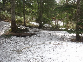 残雪で覆われた山道