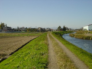 石田川南岸の田園風景