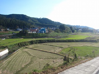 小平川流域の水田風景