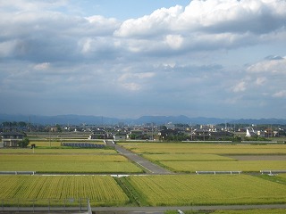 明和町の田園風景