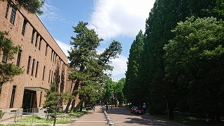 東北大学片平キャンパス