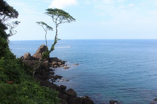 新井崎神社付近の海岸風景