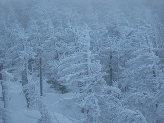 蔵王山頂駅付近の樹氷