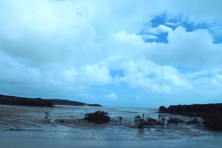 西表島の海岸風景