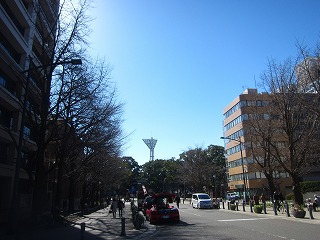 日本大通と横浜公園を望む
