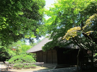 平林寺と新緑の風景