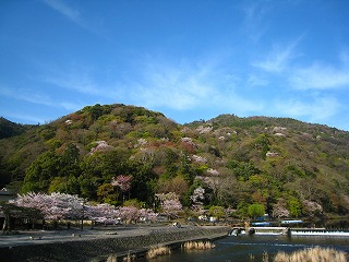 春の嵐山の風景