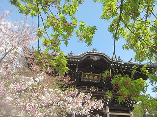 粉河寺中門の風景
