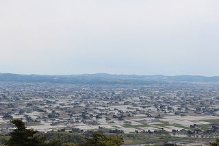 砺波平野、散居村の風景