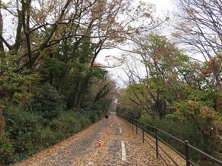 「まなびのみち」の風景