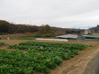 岩殿地区の風景