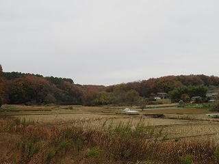 岩殿地区・谷津田の風景