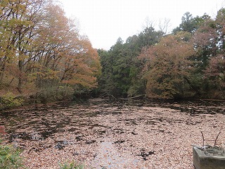 入山沼の風景