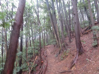 大高取山へのハイキングコース