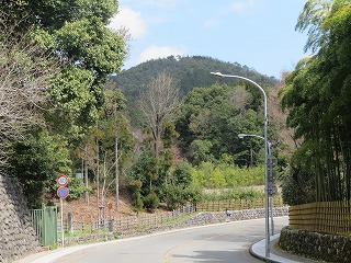 きぬかけの路、衣笠山を望む