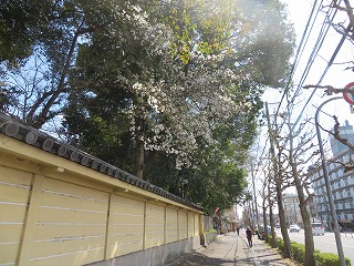 西大路通、平野神社近くの風景