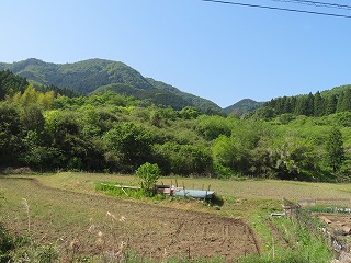 入名草付近の景観