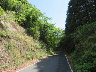藤阪峠