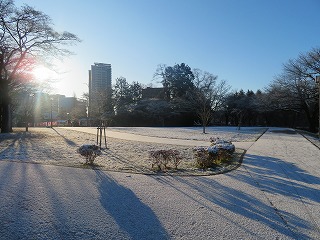 西公園、雪の積もった風景