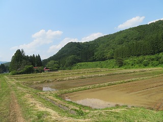 大倉地区の田園風景